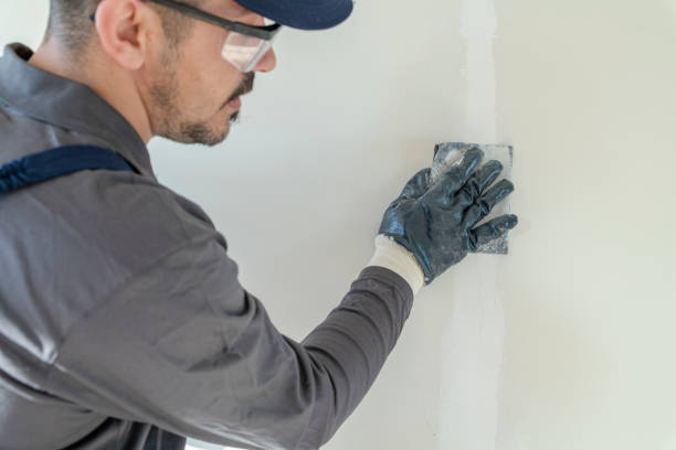 Best Fire-Damaged Drywall Repair  in King Cove, AK